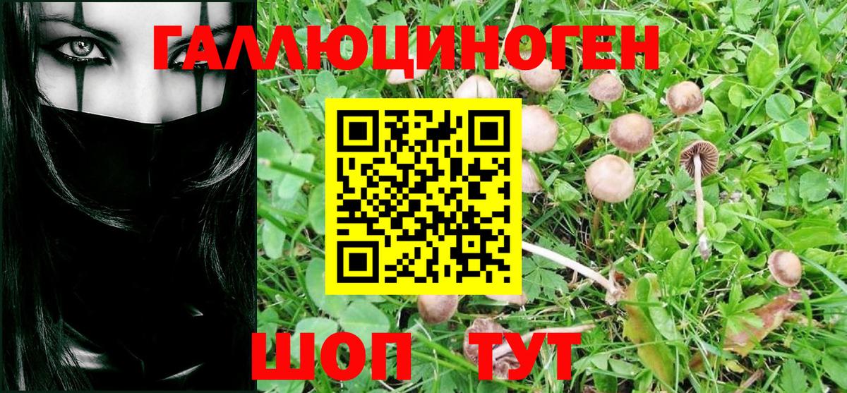 Галлюциногенные грибы MAGIC MUSHROOMS  Вход с VPN  Электросталь 