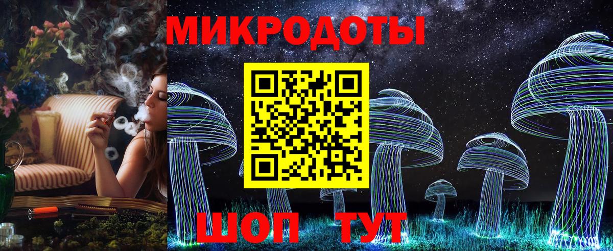 Галлюциногенные грибы Psilocybe Электросталь